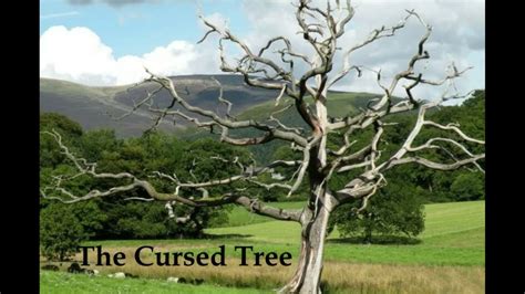 Incantation of the cursed tree